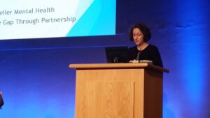 Dr. Shari McDaid, Director Mental Health Reform.