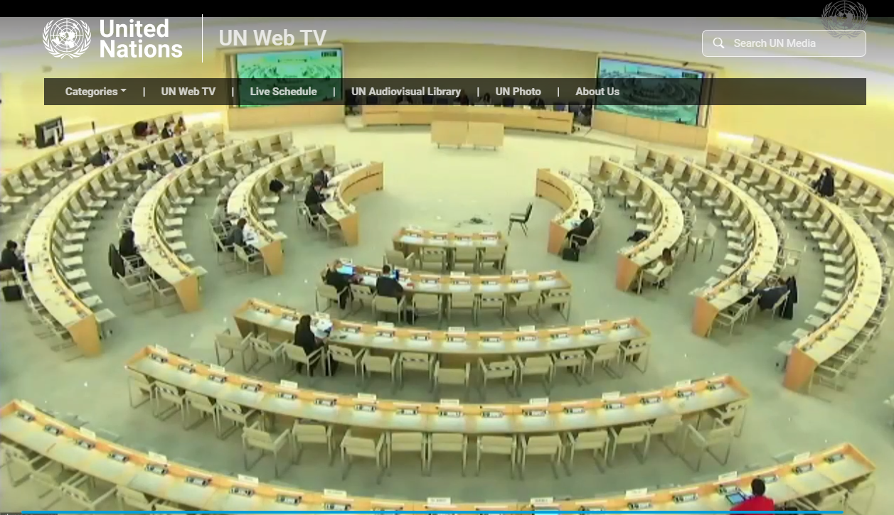 UN Universal Periodic Review of Ireland’s Human Rights 2022