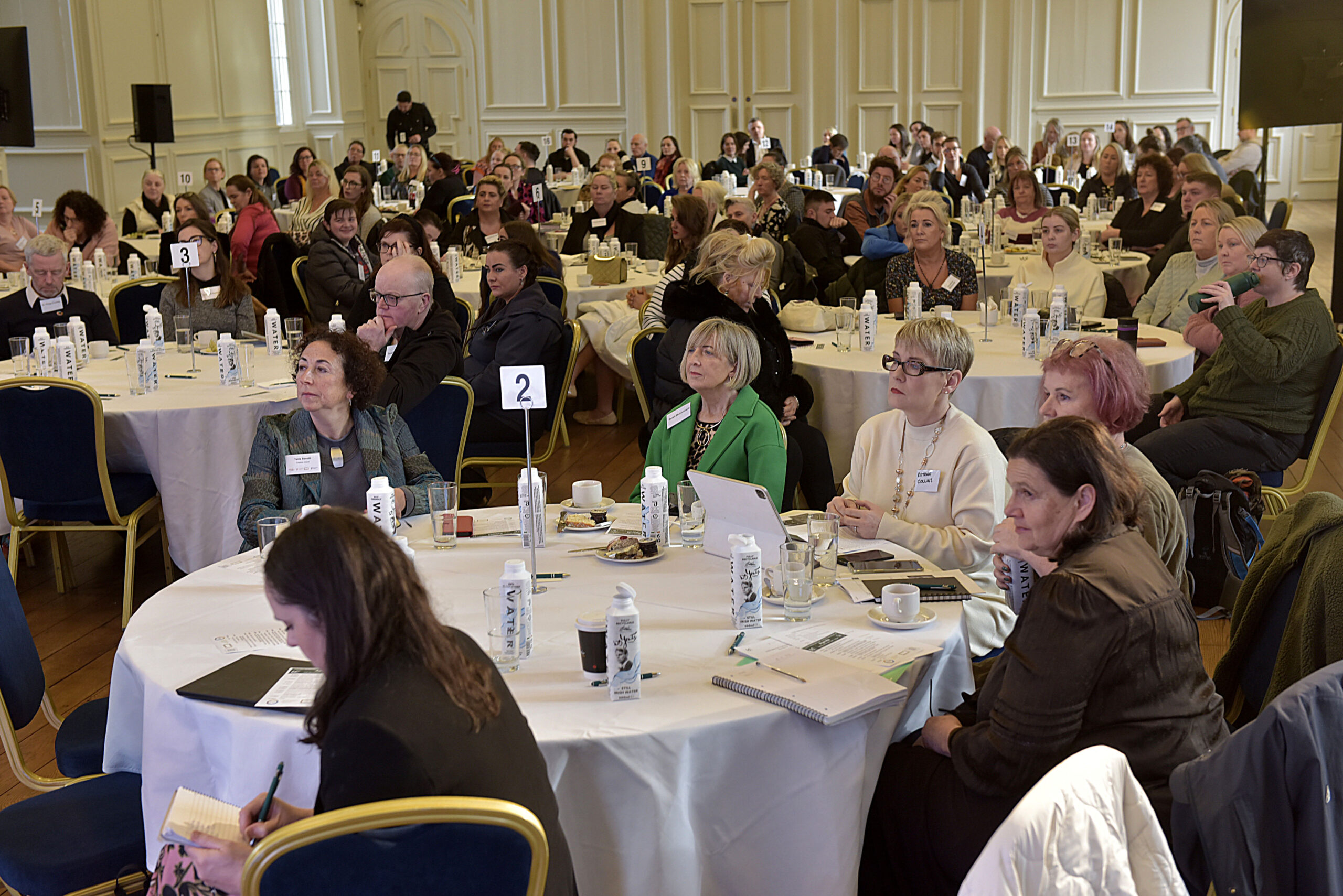 Sustainable Supports Needed for Travellers to Engage with Traveller Cultural Expression