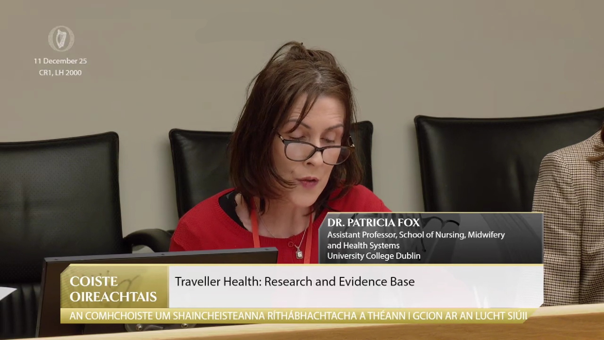 Oireachtas Joint Committee on Key Issues affecting the Traveller Community