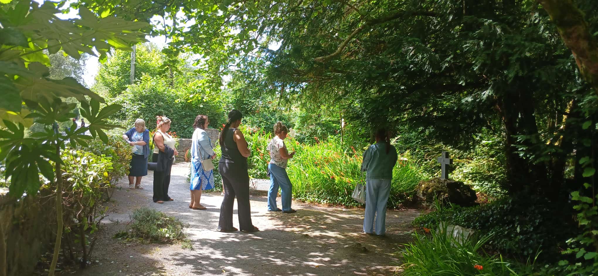 Project exchange with Mayo Traveller Movement