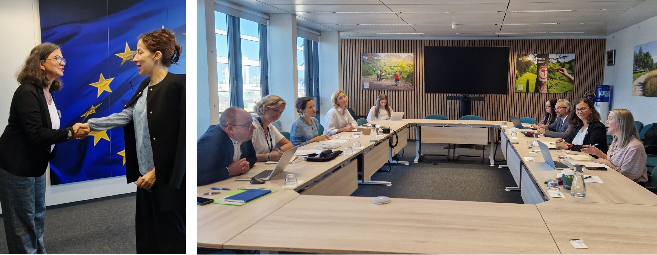 ERGO Network delegation meet Roxana Mînzatu